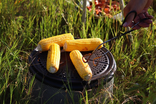 How to Grill Corn on The Cob